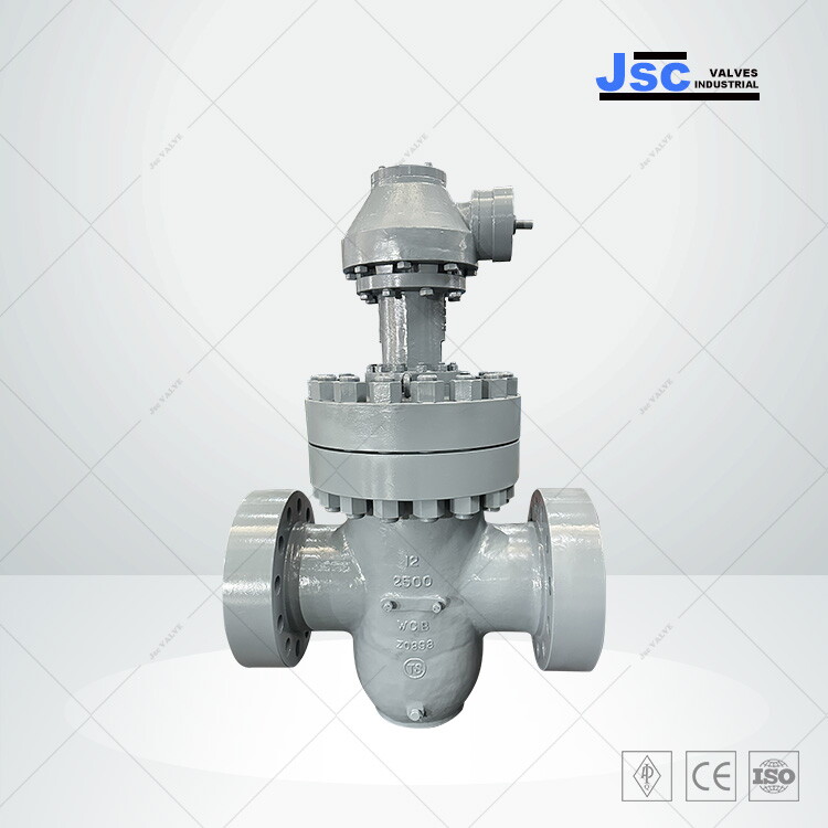 Gate Valve 24" Class 900